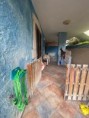 /album/galleria-foto-quadrivano-con-ampi-spazi-esterni-a-pochi-passi-dalla-spiaggia/ricciu-11-jpg/